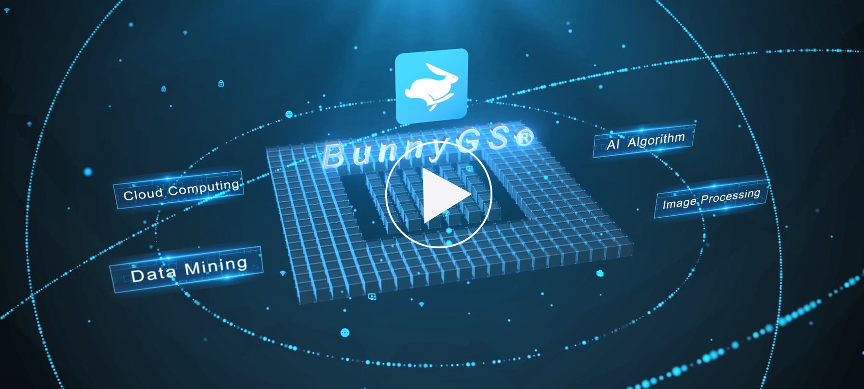 BunnyGS11 en